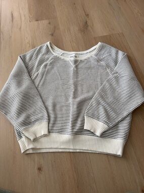 aerie Ivory and Black Thin-Striped Crewneck Sweater